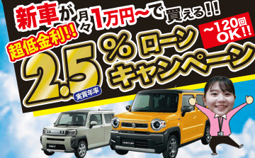 新車！！よりどりみどり！！