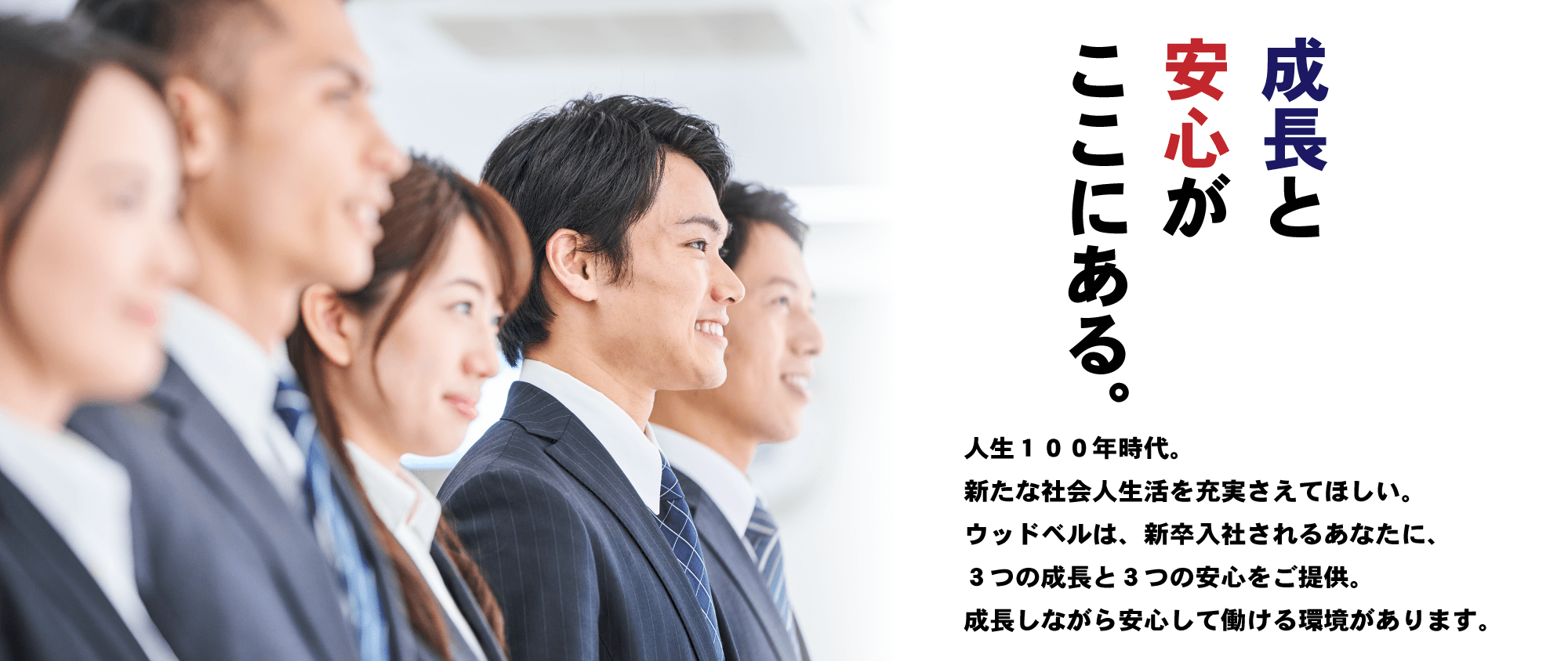 株式会社ウッドベル　新卒